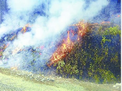 Fire season begins before the charred forest